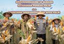 Panen Raya Jagung, Taj Yasin Apresiasi Polri Dukung Ketahanan Pangan