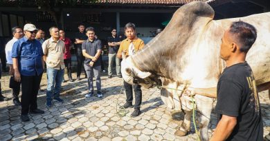 Fokus Penggemukan dan Kurban, Peternakan Sapi di Purworejo Bisa Jadi Percontohan