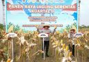 Dukung Swasembada Pangan Nasional, Kapolda Jateng Panen Jagung Bersama Petani di Boyolali