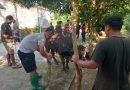 Warga Perum Solo Elok Tingkatkan Kepedulian  Lewat Kurban