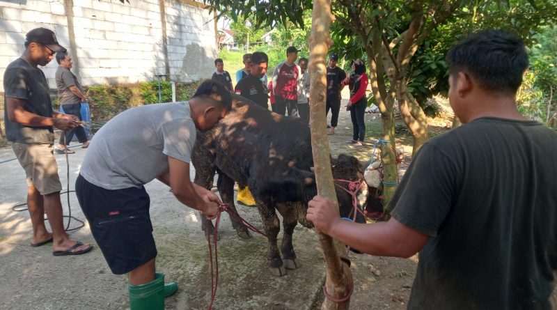 Warga Perum Solo Elok Tingkatkan Kepedulian  Lewat Kurban