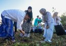 Tumbuhkan Kesadaran Ekologis, Taj Yasin Ajak Ratusan Santri Tanam Mangrove di Rembang