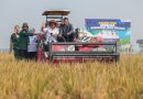 Produksi Padi Jateng Tembus 6,69 Juta Ton, Luthfi Siapkan Strategi Swasembada Pangan Terpenuhi Produksi Padi Jateng Tembus 6,69 Juta Ton, Luthfi Siapkan Strategi Swasembada Pangan Terpenuhi