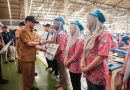 Ahmad Luthfi Salurkan BLT Cukai Tembakau Rp 51 Miliar untuk 85 Ribu Pekerja