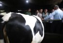 Magelang Akan Jadi Sentra Susu Baru, Wagub Taj Yasin Pastikan Dukungan Kesehatan Ternak