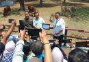 Ketua PWI Solo Beri Nama Bayi Zebra Solo Safari  Gayatri Loreng