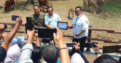 Ketua PWI Solo Beri Nama Bayi Zebra Solo Safari  Gayatri Loreng