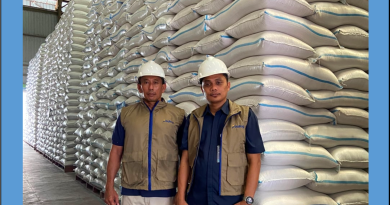 Cetak Sejarah Baru! Belum Genap 6 Bulan, Bulog Pecahkan Rekor Serapan 3 Juta Ton Beras Petani