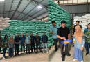 Angin Segar Buat Peternak! Bulog Guyur 78 Ton Jagung SPHP ke Solo Raya